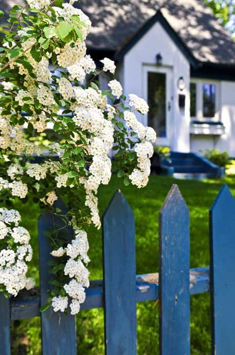 Fence around the house